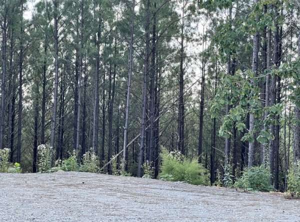 10 Acres of Residential Land for Sale in Linden, Tennessee