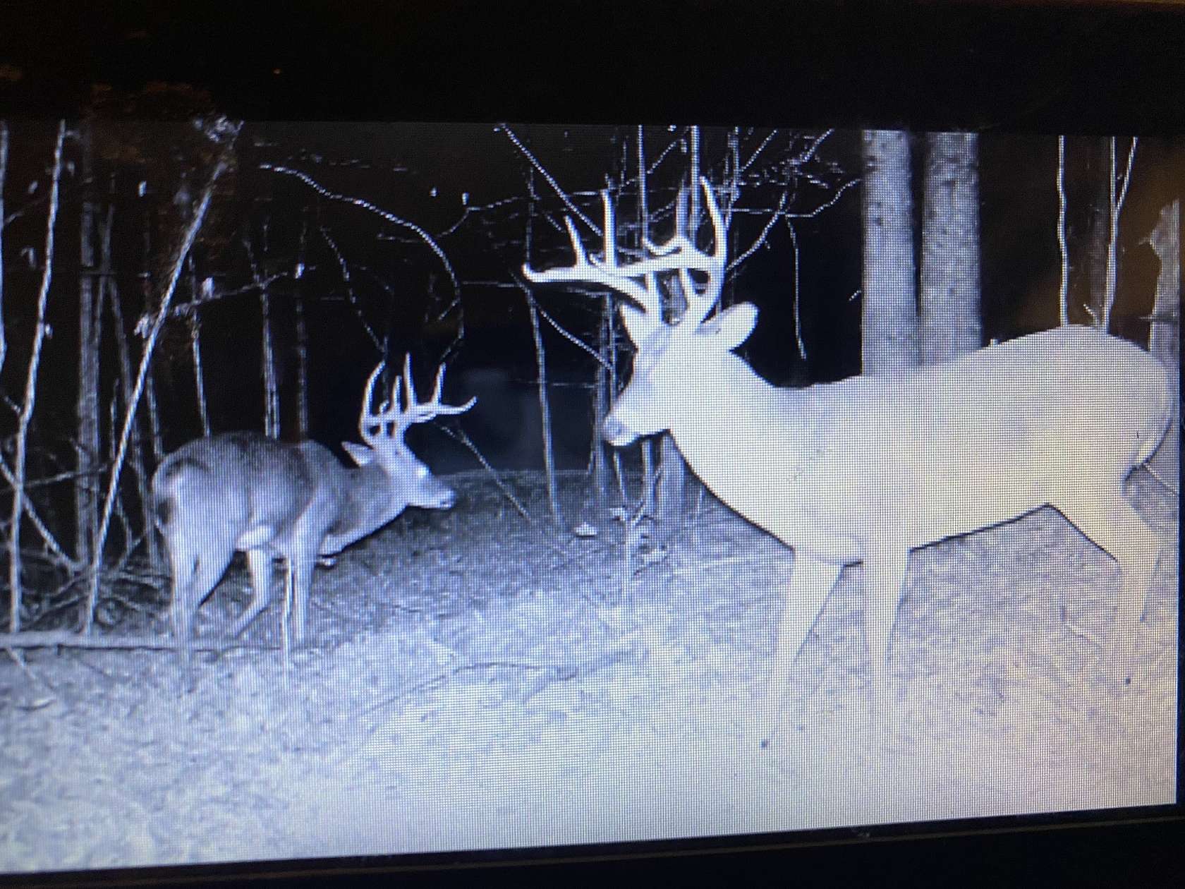 42.4 Acres of Recreational Land for Sale in Linden, Tennessee