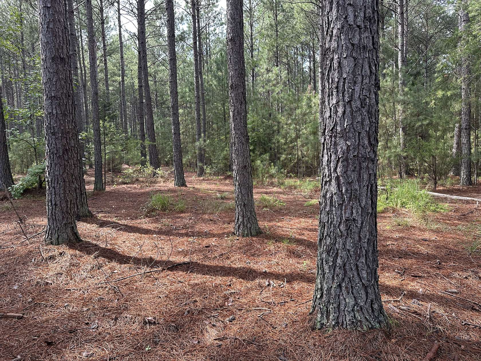193 Acres of Recreational Land for Sale in Cowpens, South Carolina