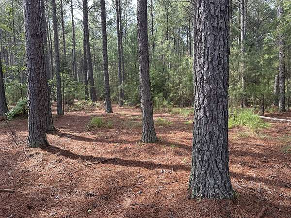 193 Acres of Recreational Land for Sale in Cowpens, South Carolina