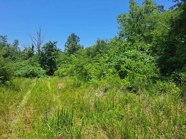 5 Acres of Land for Sale in Panola, Oklahoma