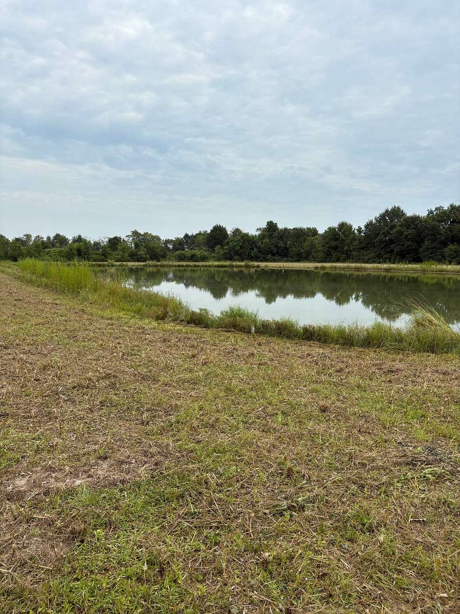 3.13 Acres of Residential Land for Sale in Rayne, Louisiana