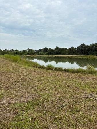 3.13 Acres of Residential Land for Sale in Rayne, Louisiana