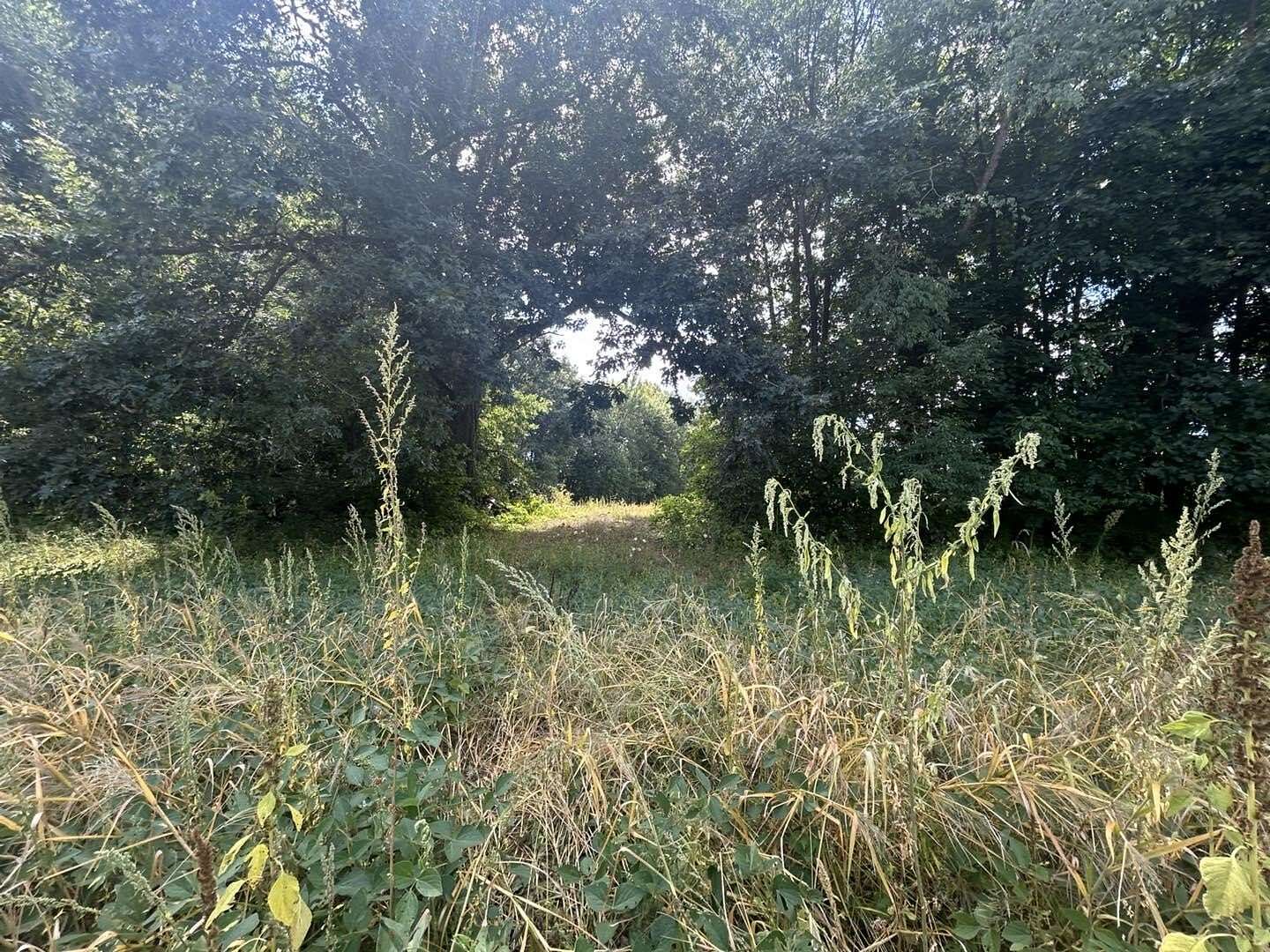 99 Acres of Recreational Land & Farm for Sale in Athens, Michigan