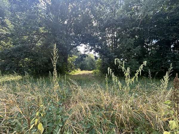 99 Acres of Recreational Land & Farm for Sale in Athens, Michigan