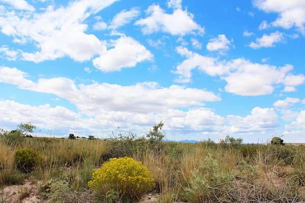 2 Acres of Land for Sale in Estancia, New Mexico