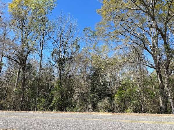 3.75 Acres of Residential Land for Sale in Goshen, Alabama