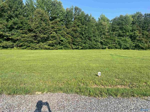 0.45 Acres of Land for Sale in Cedar Bluff, Alabama