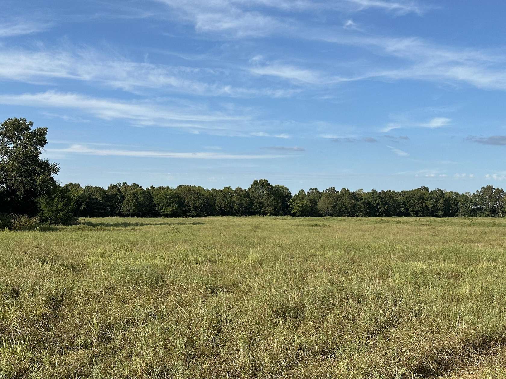 258 Acres of Land for Sale in Mountain Grove, Missouri