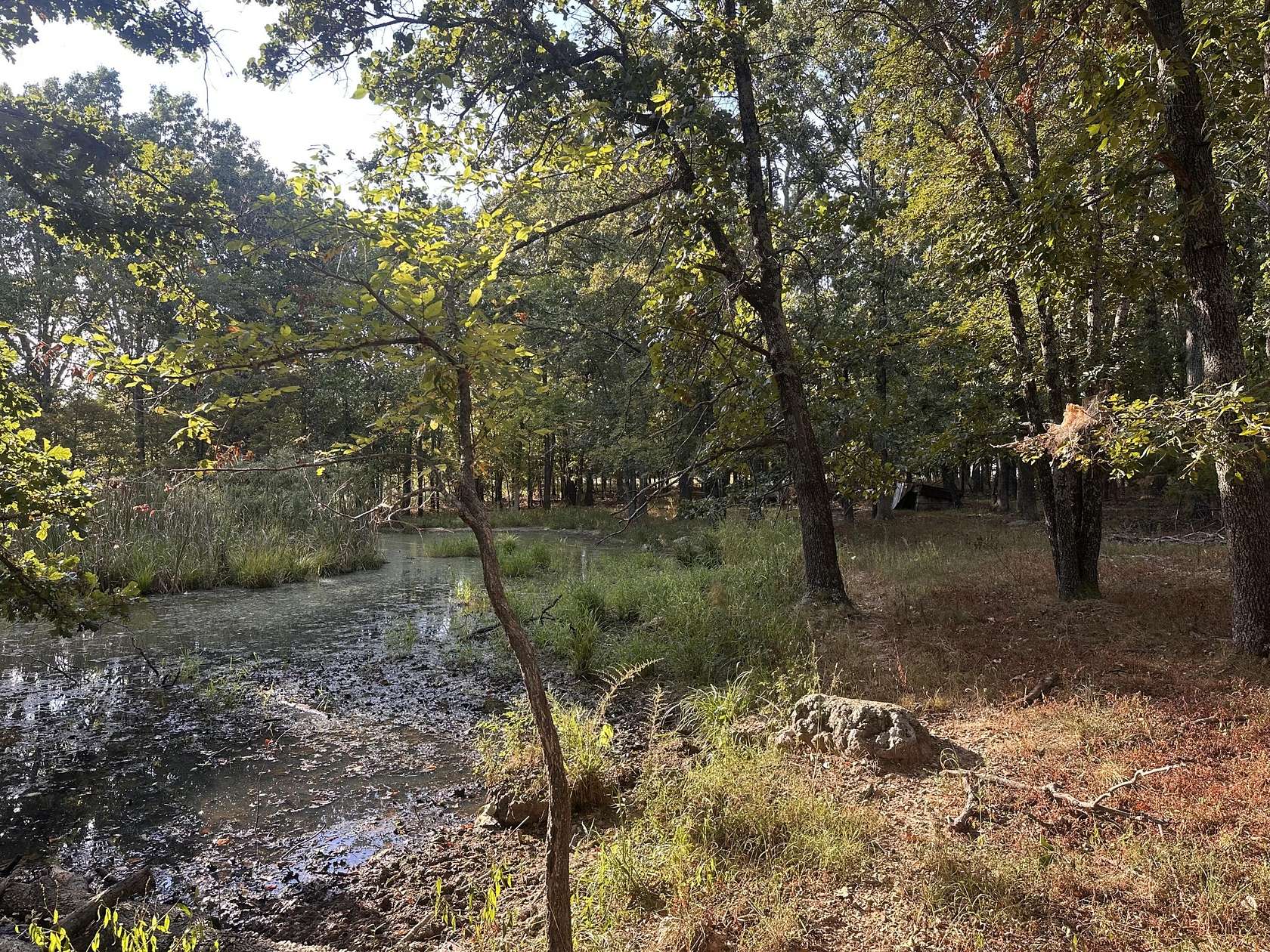 258 Acres of Land for Sale in Mountain Grove, Missouri