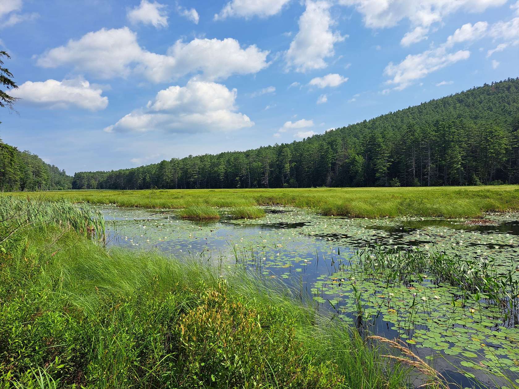112 Acres of Recreational Land for Sale in Warrensburg, New York