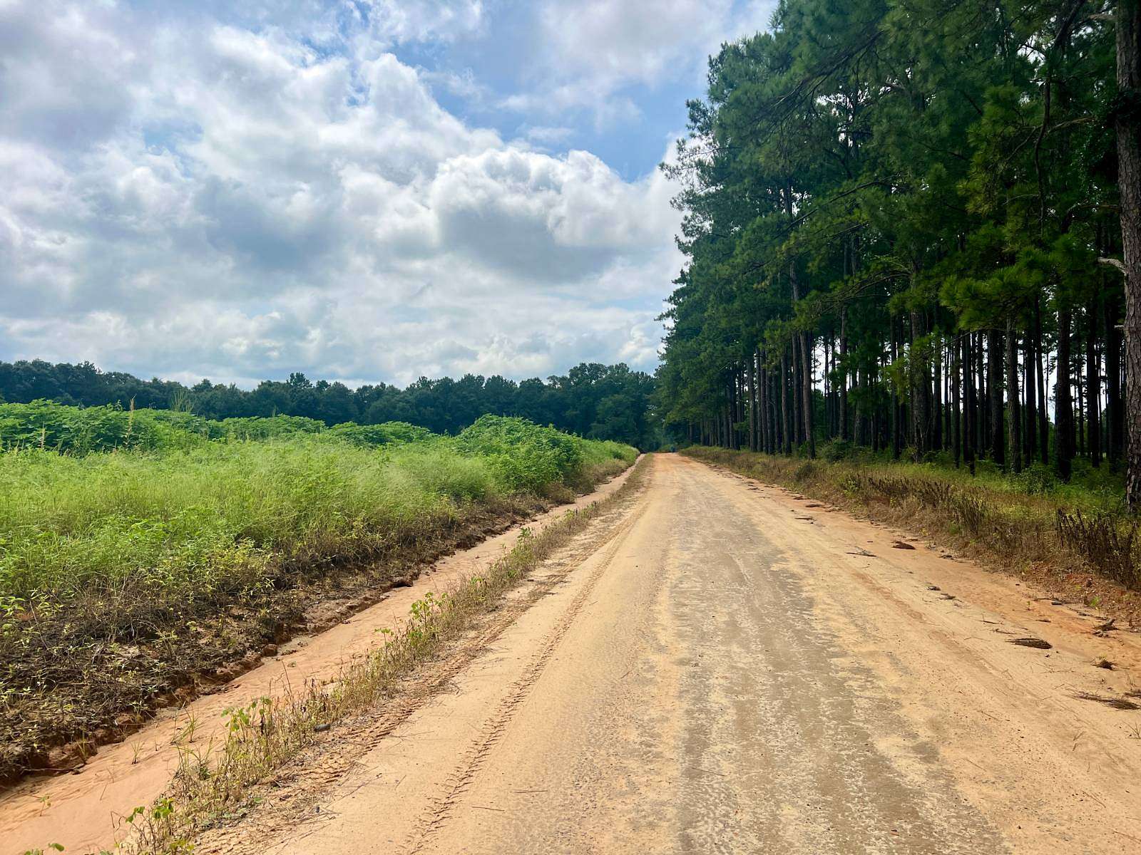 14 Acres of Agricultural Land for Sale in Jack, Alabama
