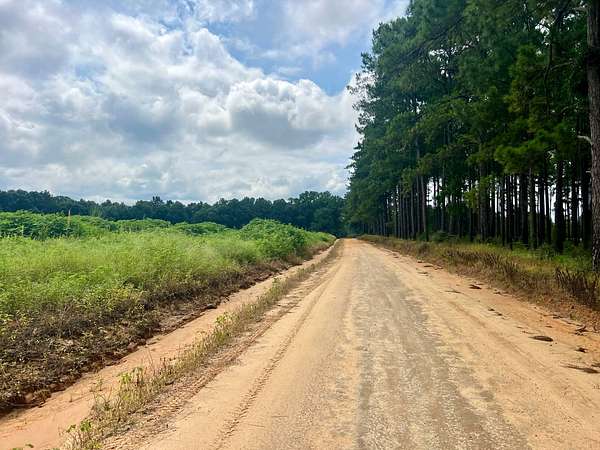 14 Acres of Agricultural Land for Sale in Jack, Alabama