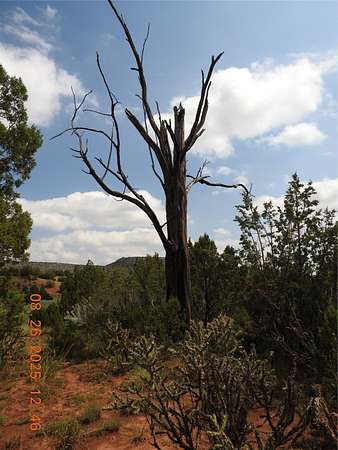 38.4 Acres of Agricultural Land for Sale in Serafina, New Mexico