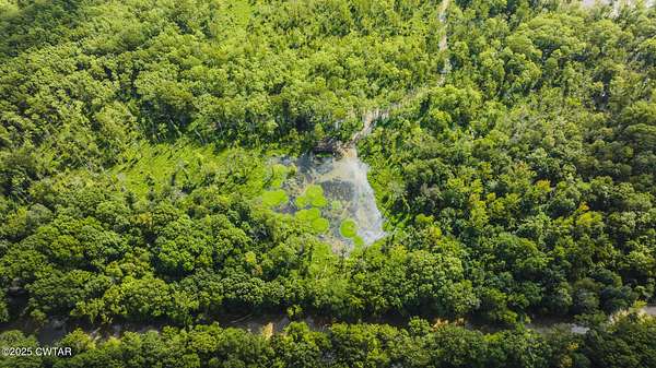 28 Acres of Recreational Land for Sale in Trenton, Tennessee