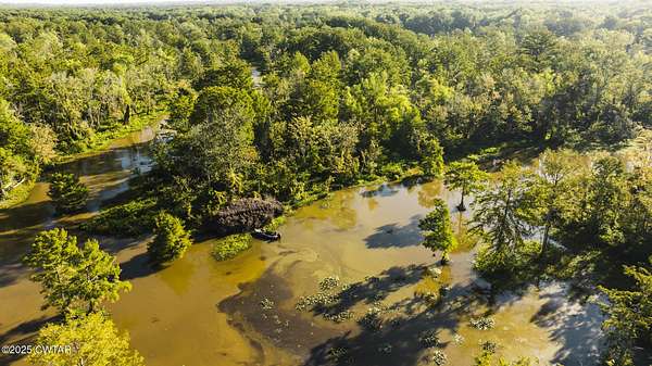 43 Acres of Recreational Land for Sale in Trenton, Tennessee