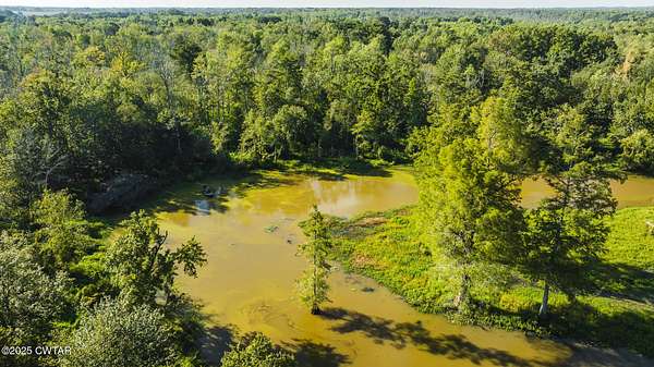 41 Acres of Recreational Land for Sale in Trenton, Tennessee