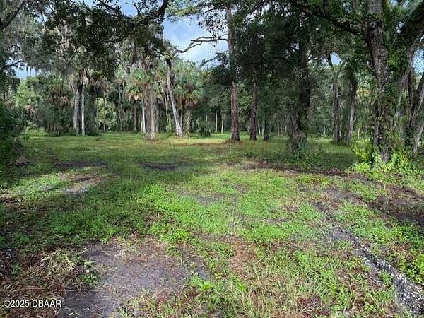 2.8 Acres of Commercial Land for Sale in New Smyrna Beach, Florida