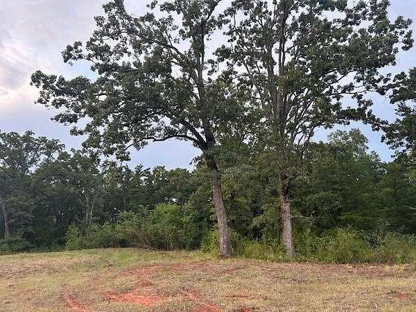 22 Acres of Land for Sale in Mineola, Texas