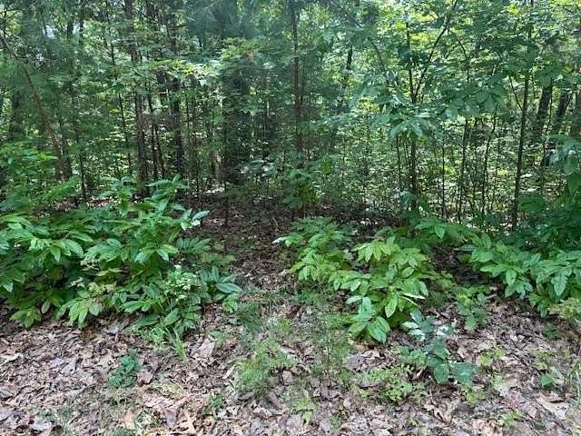 2.64 Acres of Land for Sale in Ellijay, Georgia