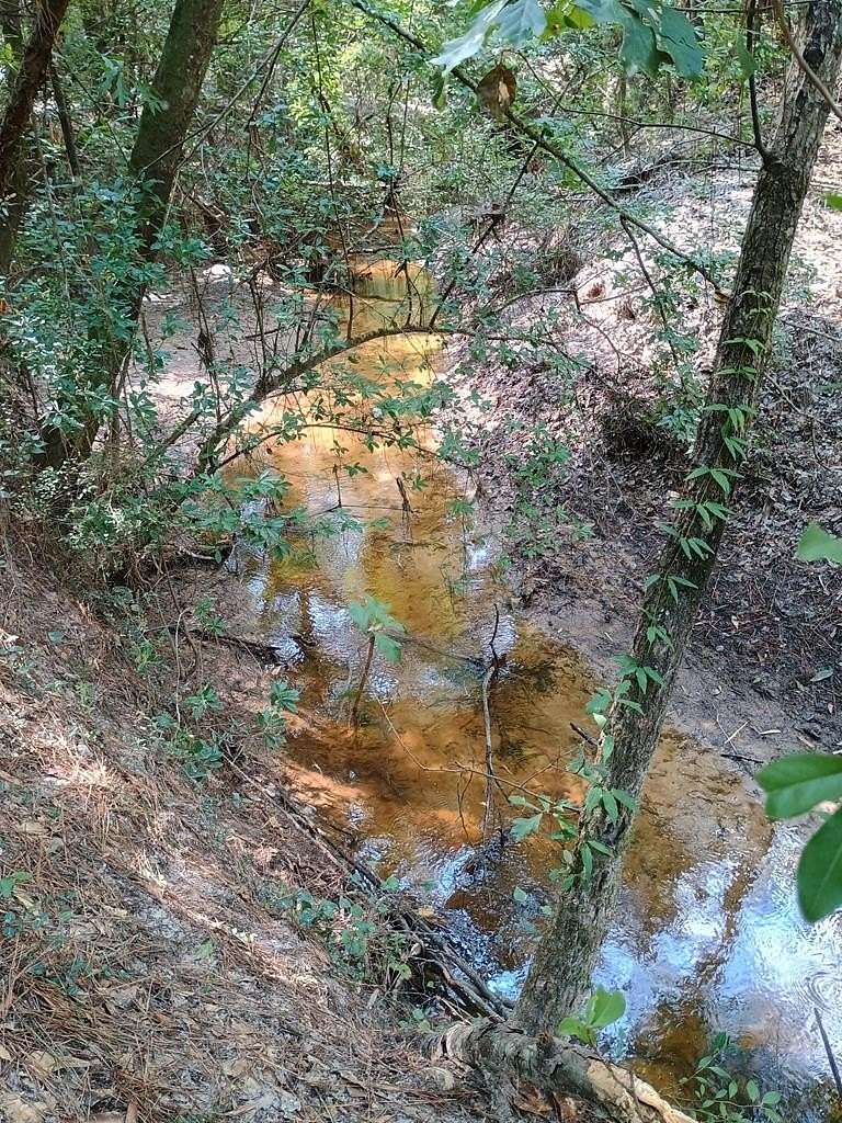 121 Acres of Land for Sale in Kirbyville, Texas