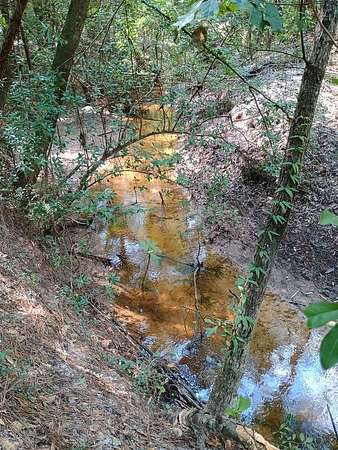 121 Acres of Land for Sale in Kirbyville, Texas