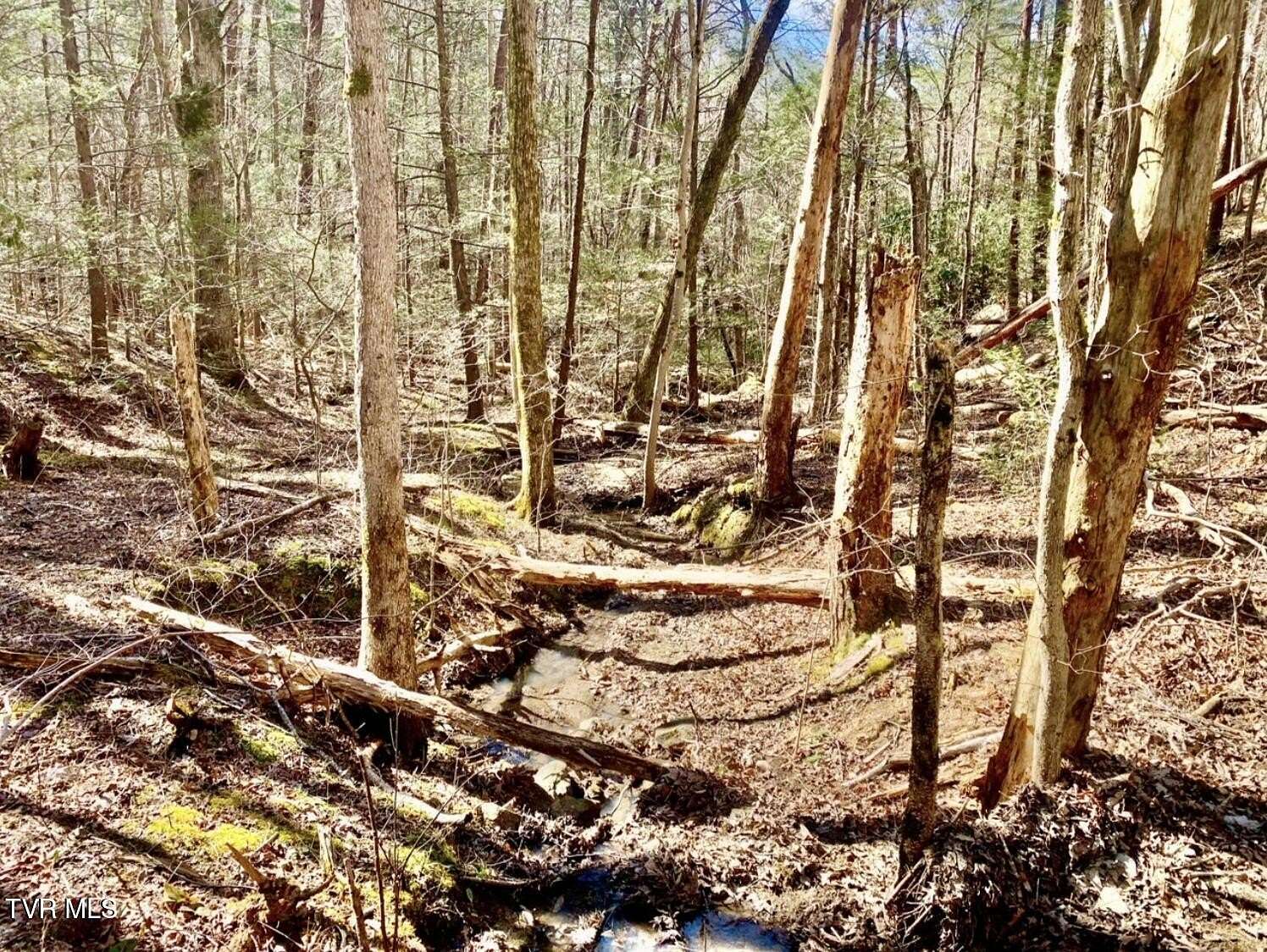 5.4 Acres of Land for Sale in Greeneville, Tennessee