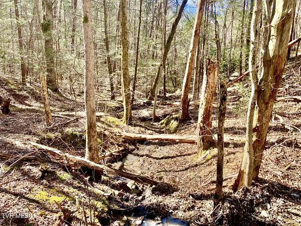 5.4 Acres of Land for Sale in Greeneville, Tennessee