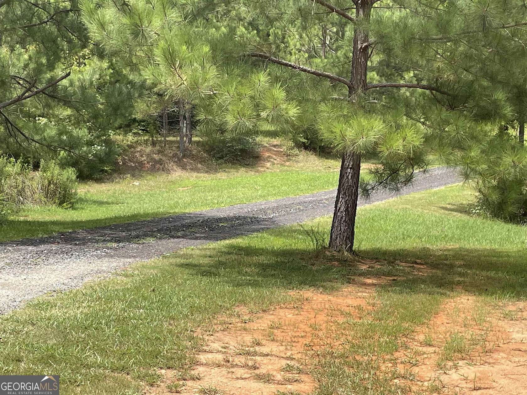 3 Acres of Residential Land for Sale in Martin, Georgia