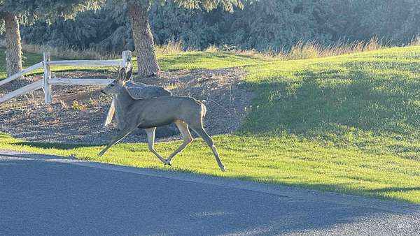 1 Acre of Residential Land for Sale in Kimberly, Idaho