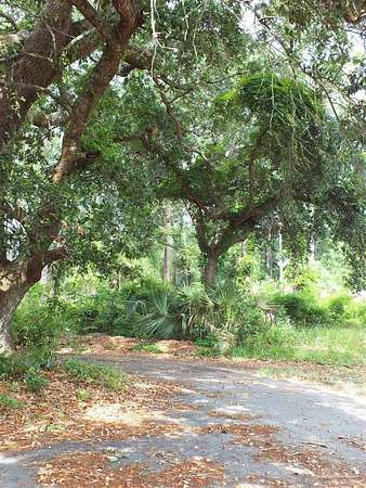 1.14 Acres of Residential Land for Sale in Milton, Florida
