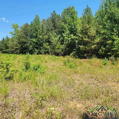 13 Acres of Land for Sale in Harleton, Texas