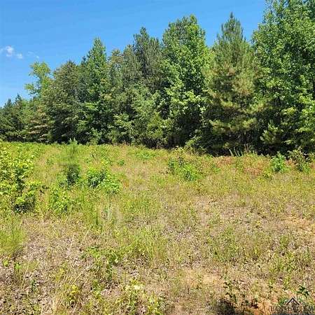 13 Acres of Land for Sale in Harleton, Texas