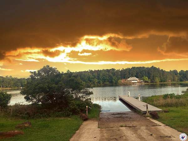 10 Acres of Recreational Land for Sale in Avinger, Texas