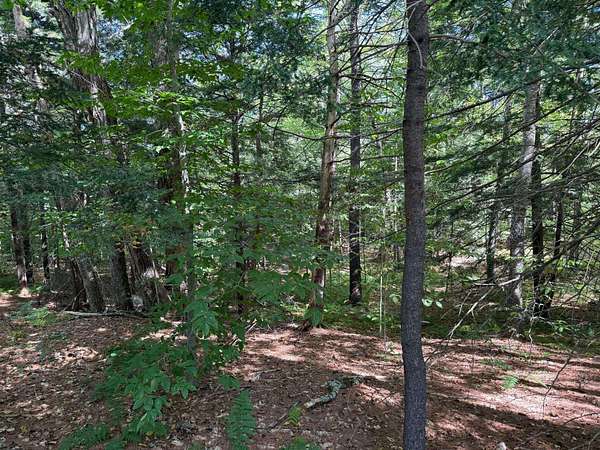 2.18 Acres of Residential Land for Sale in Holderness, New Hampshire