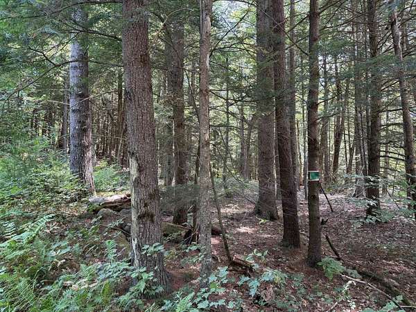 5.2 Acres of Residential Land for Sale in Holderness, New Hampshire