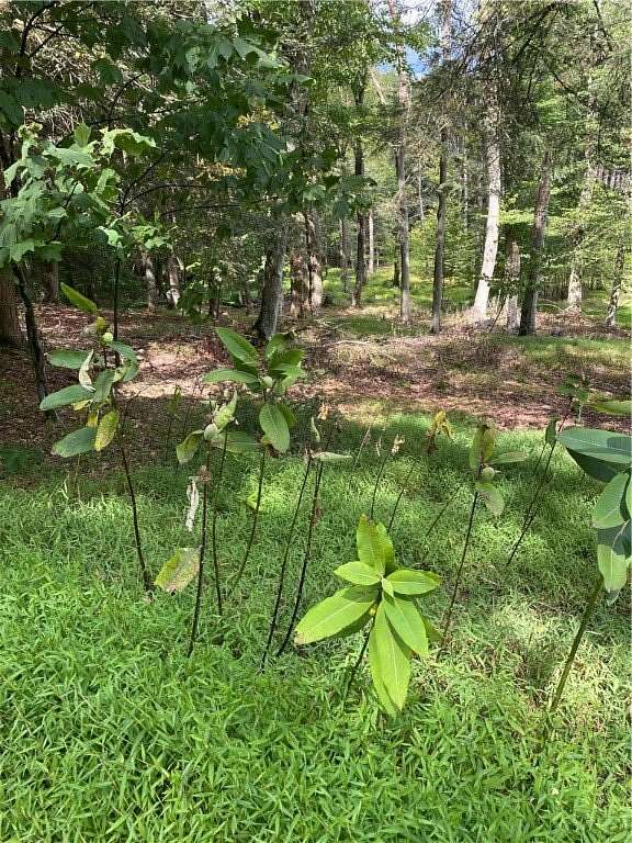 0.57 Acres of Land for Sale in Flinton, Pennsylvania