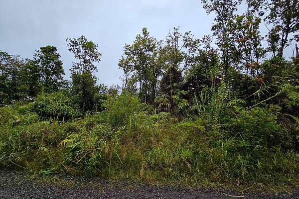3 Acres of Residential Land for Sale in Volcano, Hawaii