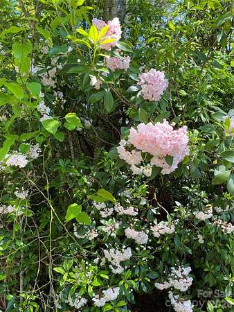 3 Acres of Land for Sale in Burnsville, North Carolina