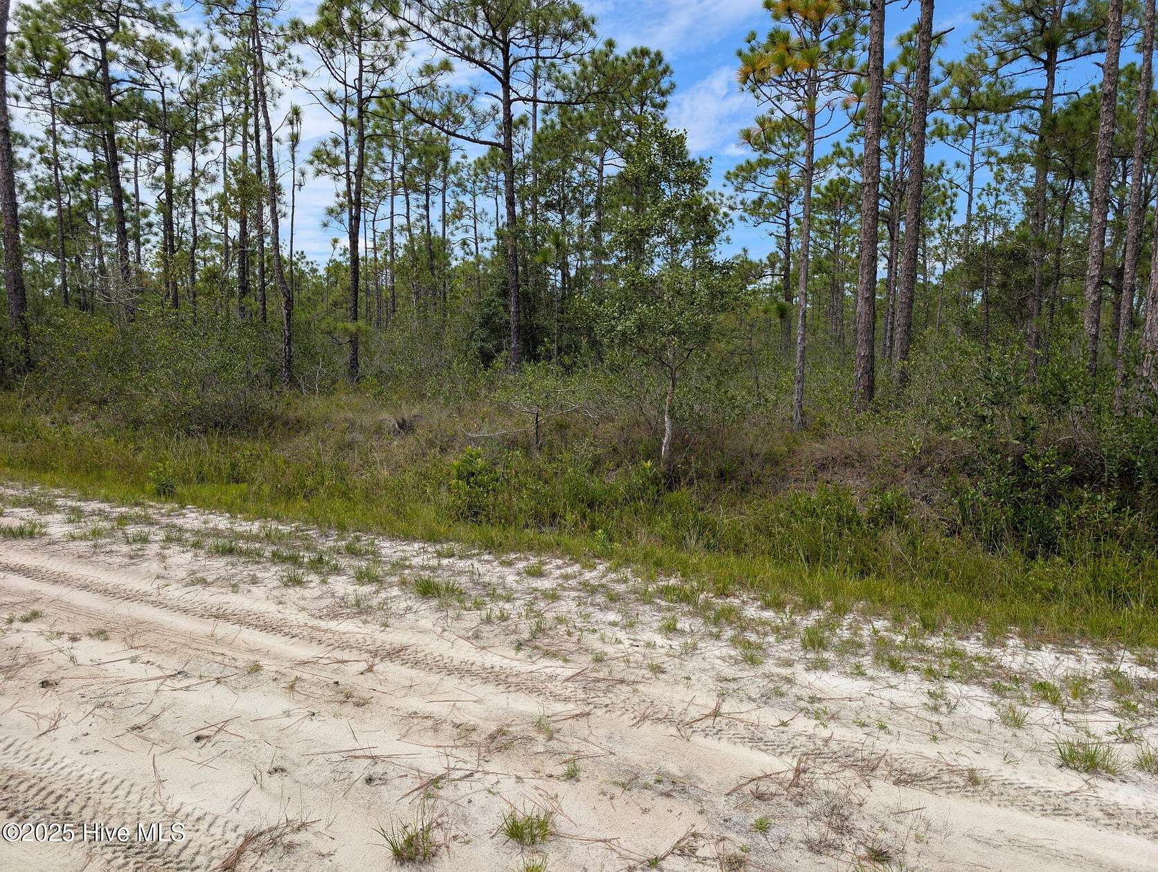 0.74 Acres of Land for Sale in Southport, North Carolina
