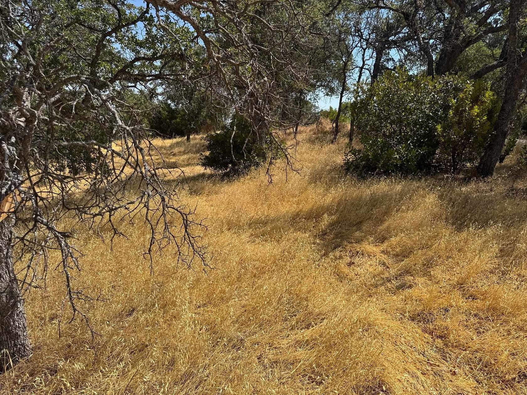 1.87 Acres of Land for Sale in Corning, California