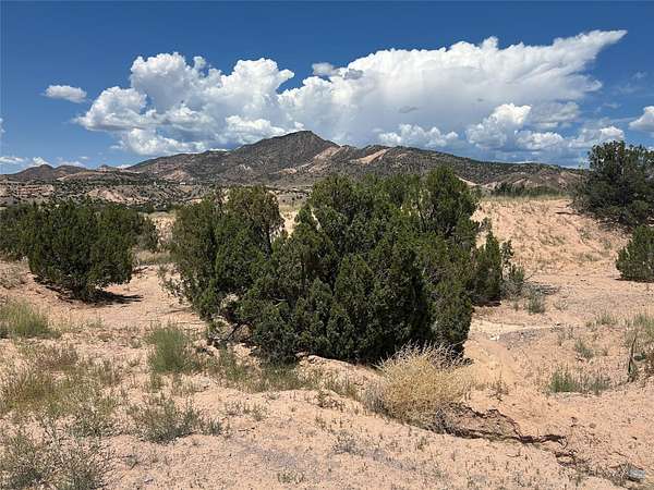 1 Acre of Residential Land for Sale in Abiquiu, New Mexico