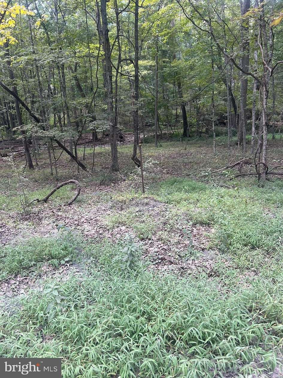 39.7 Acres of Land for Sale in Bloomery, West Virginia