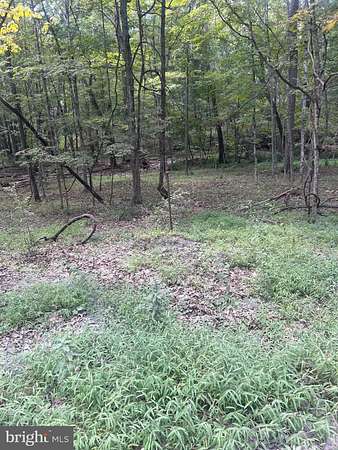 39.7 Acres of Land for Sale in Bloomery, West Virginia