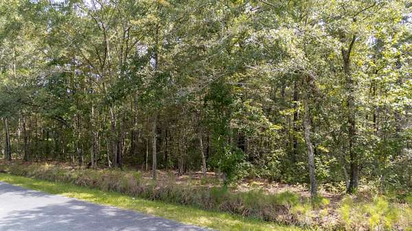1 Acre of Residential Land for Sale in Green Pond, South Carolina
