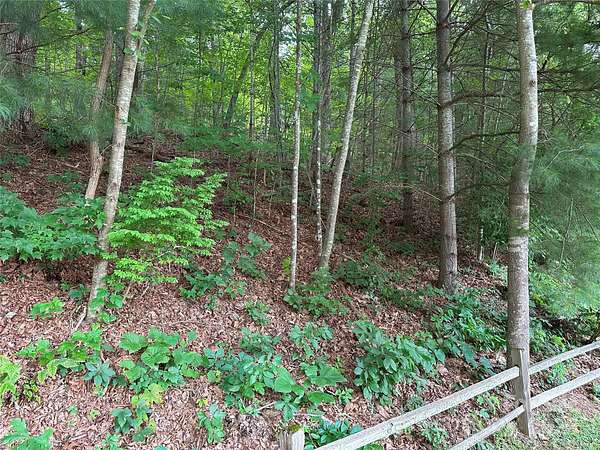 0.55 Acres of Residential Land for Sale in Waynesville, North Carolina