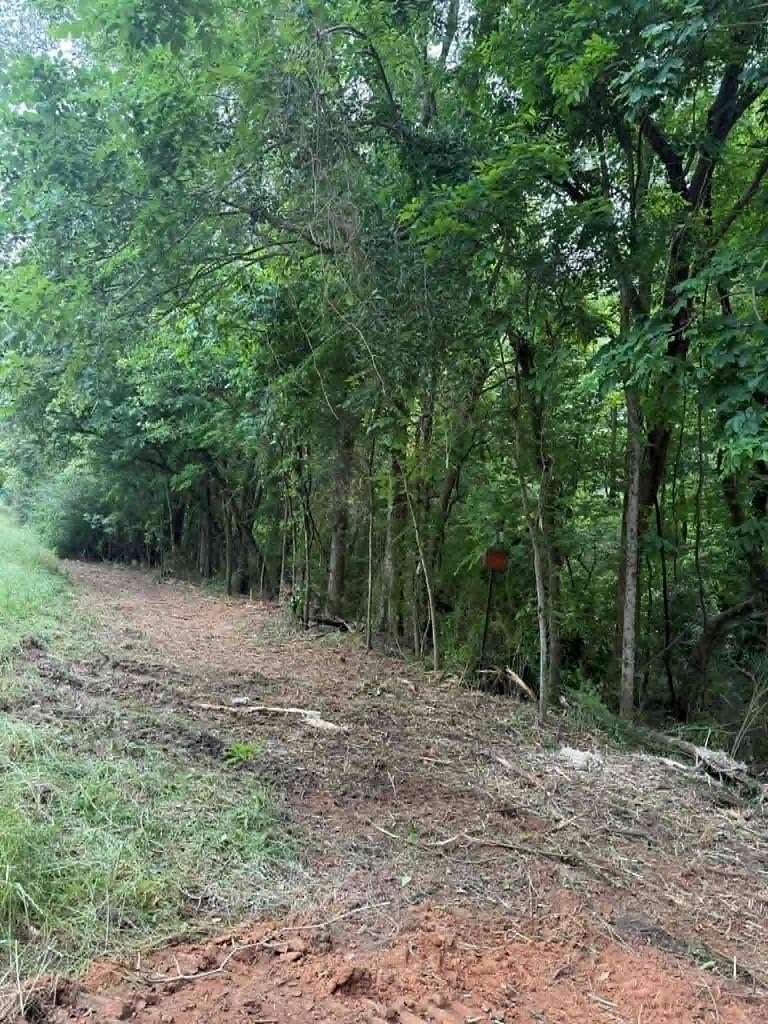 6.7 Acres of Residential Land for Sale in Center, Texas