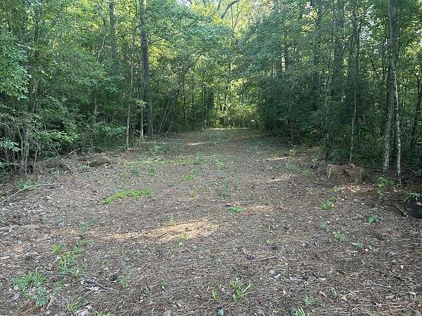 33.3 Acres of Land for Sale in Center, Texas