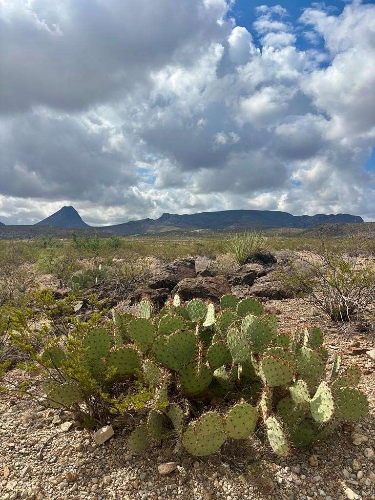20 Acres of Land for Sale in Terlingua, Texas