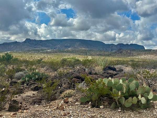 20 Acres of Land for Sale in Terlingua, Texas